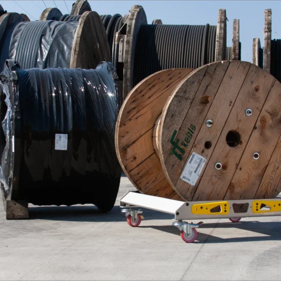 DR300XL #4 DR300XL #4